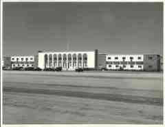 ���� ������ ��� ��� ����